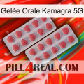 Gelée Orale Kamagra 5G 19